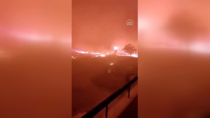 Cezayir’deki orman yangınlarında 26 kişi hayatını kaybetti