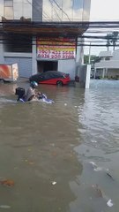 Motorcyclist Makes Valiant Attempt to Drive Through a Flood