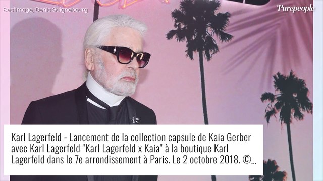 Jet, champagne et cadeaux, Choupette (la chatte de Karl Lagerfeld) mène la belle vie !