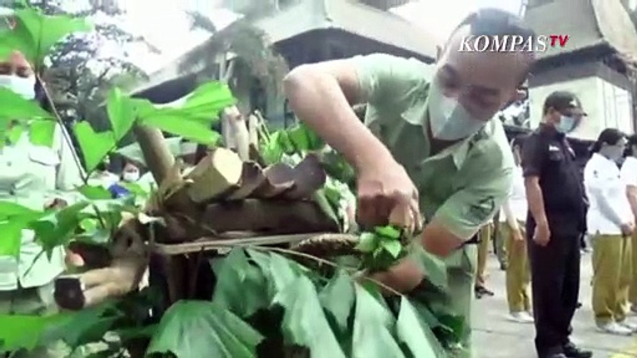 Gaya Para Satwa Ikut Upacara HUT Ke-77 RI, dari Gajah hingga Trenggiling