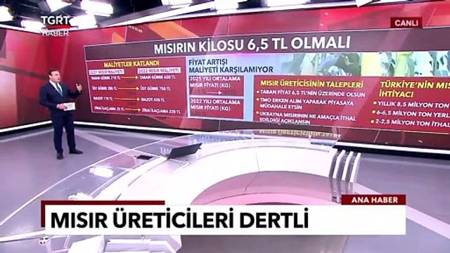 Mısırda Durum Ne? Kilosu Kaç TL Olmalı? Üreticinin Talepleri Neler? - Alper Altun ile TGRT Ana Haber