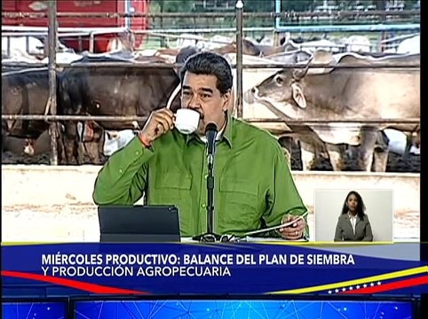 Gob. Karina Carpio : En Aragua tenemos tierras efectivas para producir café y otros rubros