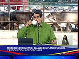 Gob. Karina Carpio : En Aragua tenemos tierras efectivas para producir café y otros rubros