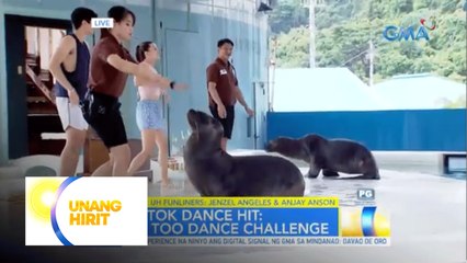 TikTok dance hits with the sea lions and UH Funliners! | Unang Hirit