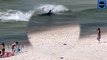 Massive Hammerhead Shark Chases Stingrays as Swimmers Coast of Alabama Beach On Monday Morning