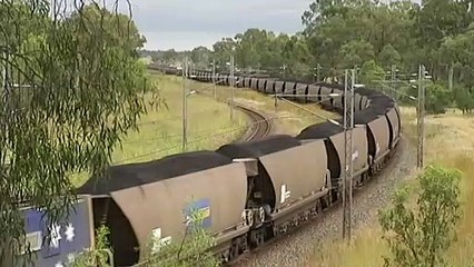 BHP pauses coal investments in Qld over royalty rises, future of Blackwater South mine in doubt