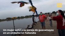 Mujer salta a un embalse para salvar a su guacamayo que estaba a punto de ahogarse