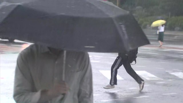 [날씨] 오늘 구름 많고 30℃ 안팎 무더위...오후 곳곳 소나기 / YTN