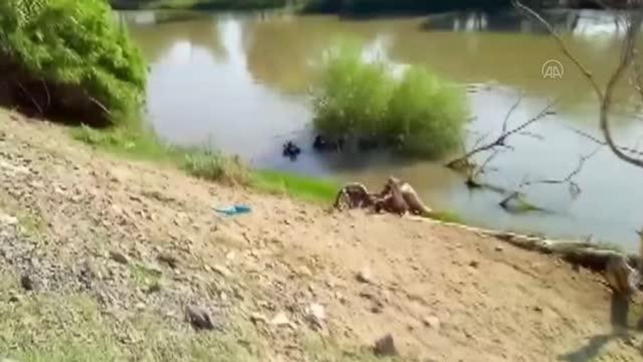 Bingöl gündem haberleri: Aydın'da kaybolan 18 yaşındaki genç için arama çalışması başlatıldı