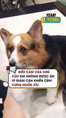 Người ta có mập đâu mà bắt giảm cân vậy trùi