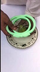 Pears (Nashpati) cutting.