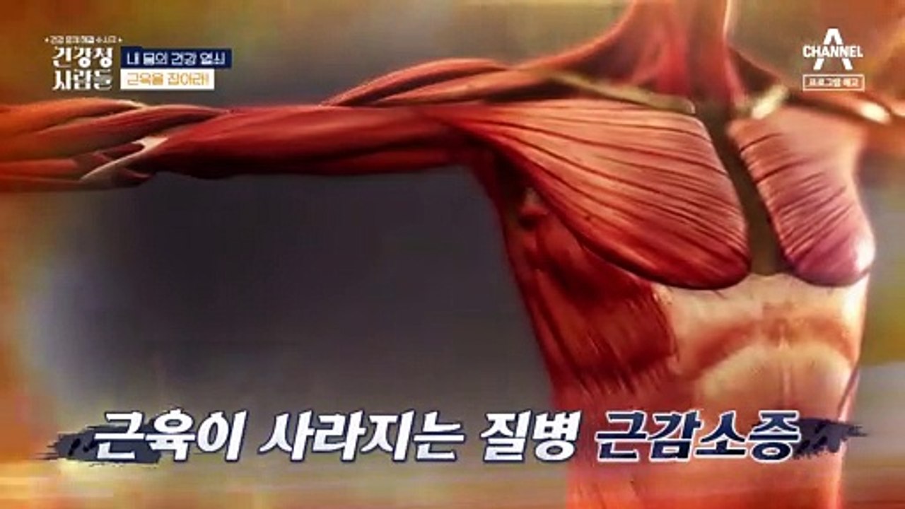 [예고] 해마다 줄어드는 전신 근육! 수명 단축뿐만 아니라 각종 질병의 원인이 되는 근감소를 막아라!