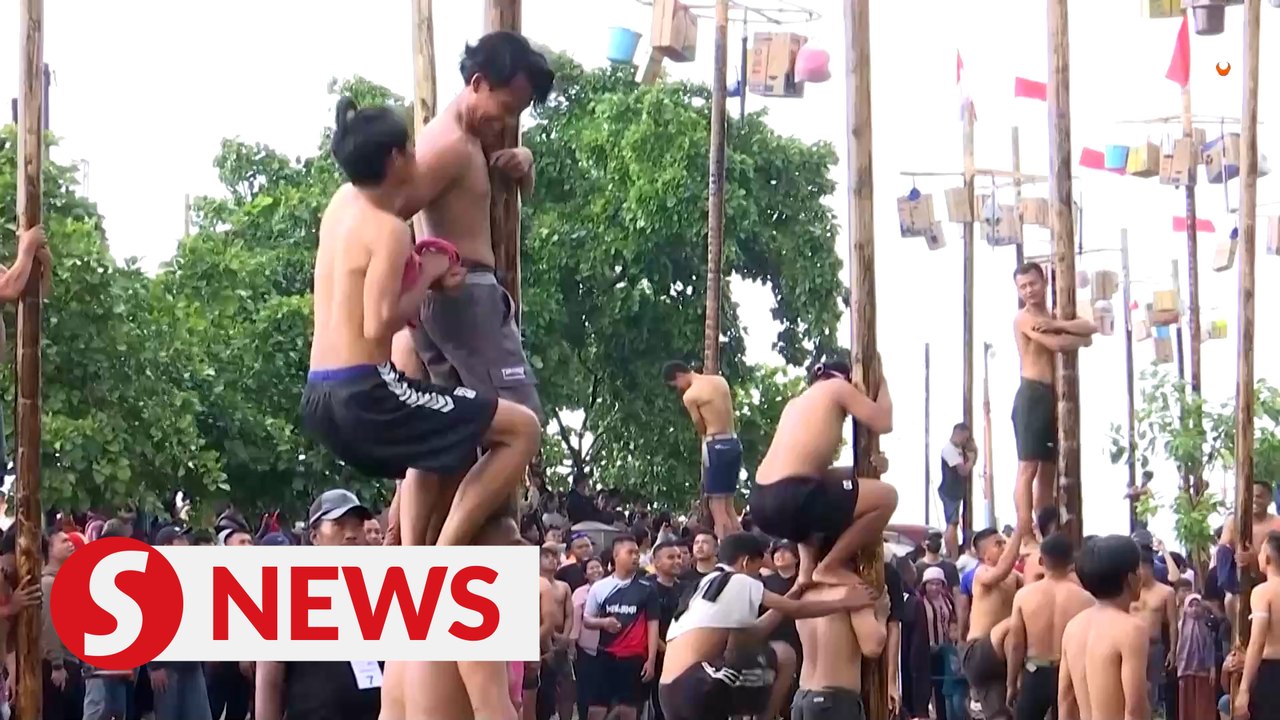 Indonesia holds 'greasy' tree-climbing competition
