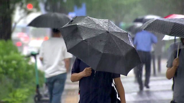 [날씨] 오늘 무더위 속 곳곳 소나기...내일 오후부터 전국 비 / YTN