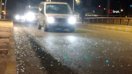 Milyonlarca 'bir gün sineği' tarihi Halilefendi köprüsünü istila etti