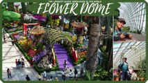 Flower Dome - The Largest Glass Greenhouse in the World.