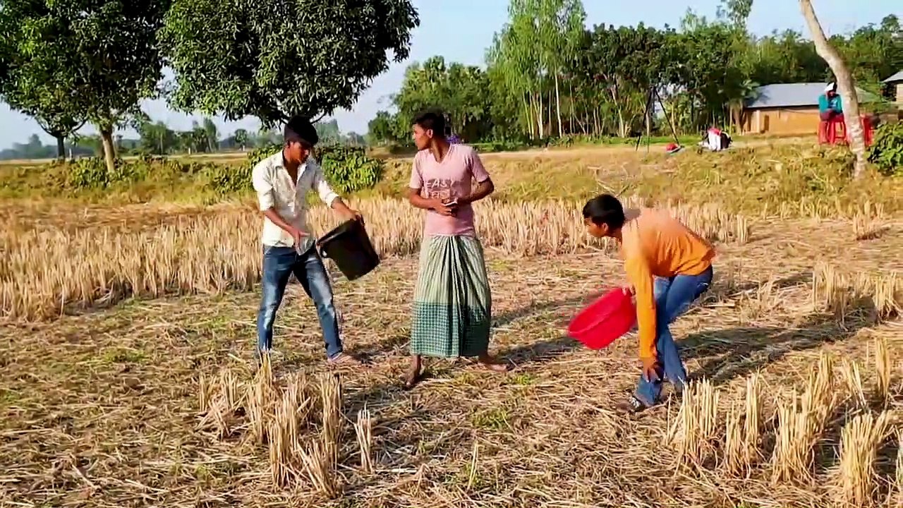 Top New funny Video-Hindi Comedy Videos-Try Not To Laugh Comedy video, Try Not To Laugh, comedy videos, Funny video 2022, New Tik Tok Video, comedy video, prank video, funny video,funny videos, tiktok video,tiktok video,likee video,top comedy,bangla