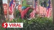 Cops on hunt for man seen cutting 'Jalur Gemilang' in viral video