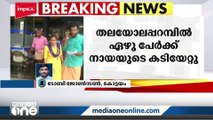 കോട്ടയത്ത് വീണ്ടും തെരുവുനായ ആക്രമണം: ഏഴു പേർക്ക് കടിയേറ്റു | Kottayam |