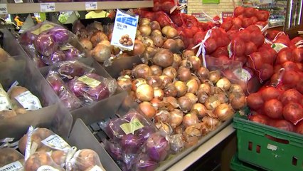 "추석 밥상 물가 잡아라"...정부, 역대 최대 할인 행사 진행 / YTN