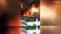 Algérie : des feux de forêt ravageurs font au moins 26 morts