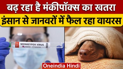 Monkeypox Updates: इंसान से कुत्ते में हुआ वायरस का ट्रांसमिशन, WHO का अलर्ट | वनइंडिया हिंदी |*News