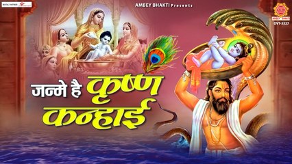 जन्मे है कृष्ण कन्हाई गोकुल में बाजे बधाई - Janme Hai Krishn Kanhayi - वृंदावन जन्माष्टमी 2022 | New Video | Full HD Video -2022