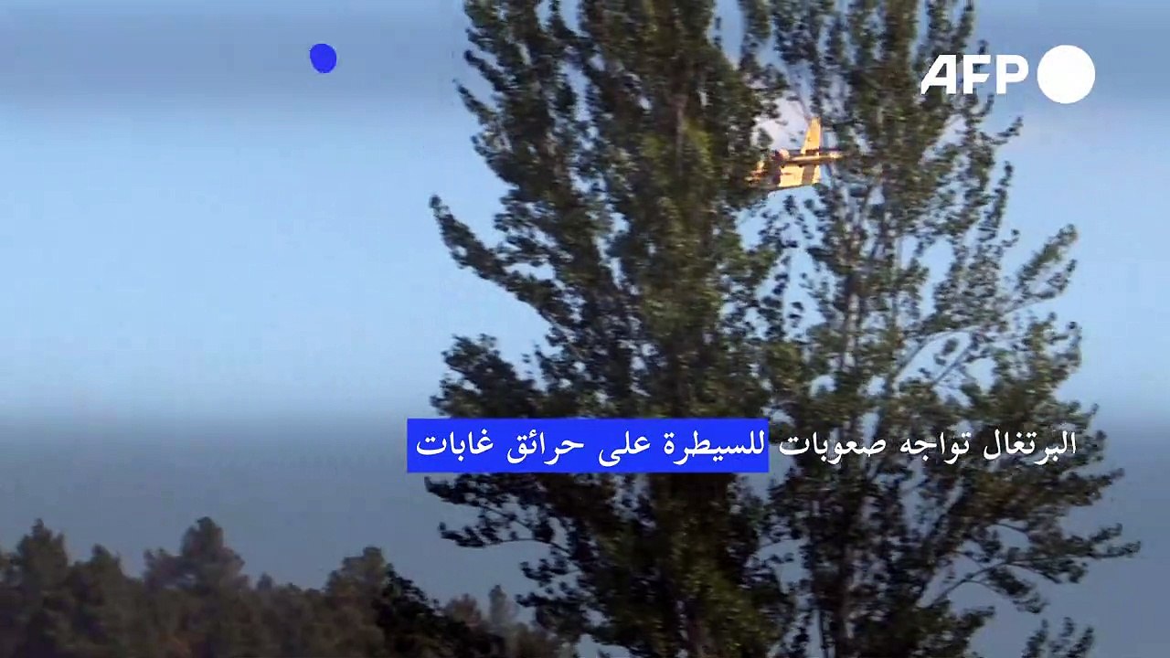 البرتغال تواجه صعوبات للسيطرة على حرائق غابات