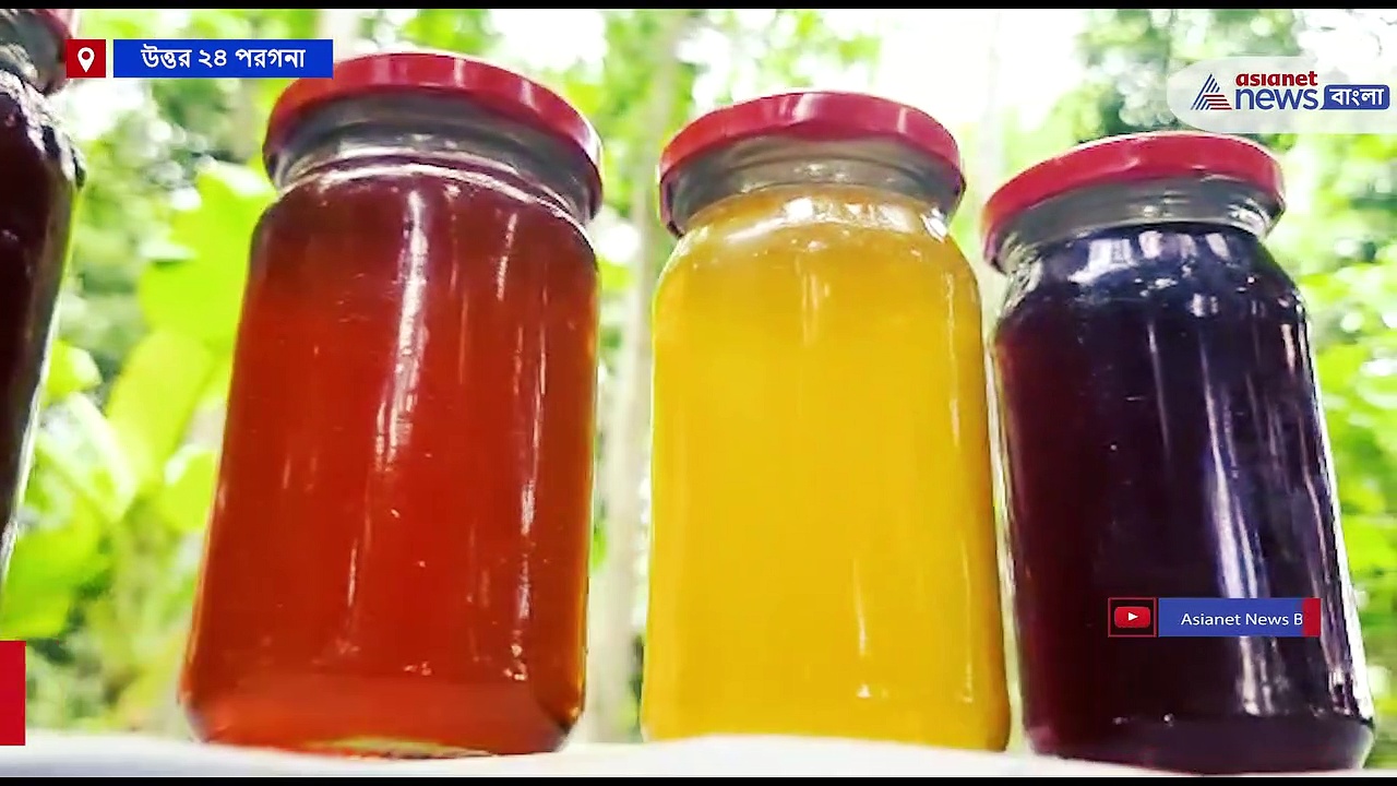 Honey Bee Agriculture : মৌমাছি পালন করে উপার্জনের পথ দেখাচ্ছে স্বনির্ভর গোষ্ঠী, কিভাবে? দেখুন