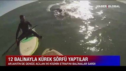 Tesadüf sonucu 12 balina ile kürek sörfü yaptılar: Eşsiz anlar böyle görüntülendi
