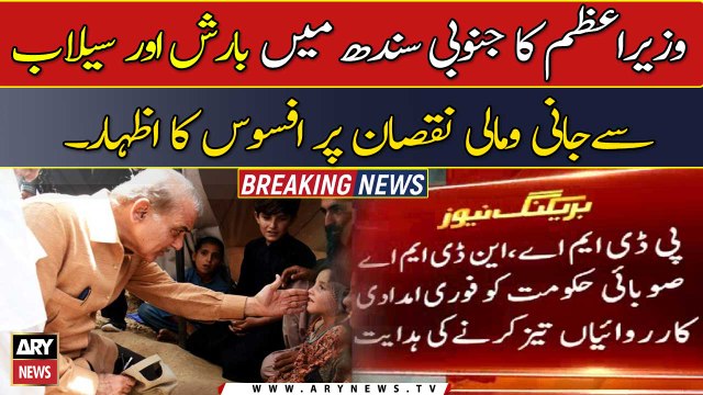 Shehbaz Sharif directs to gear up relief operations in flood-hit areas