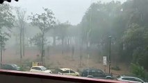 Bufera a Lido di Camaiore: pioggia, vento e alberi caduti