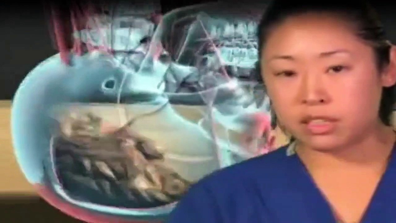 1000 Wege, ins Gras zu beißen Staffel 2 Folge 1 HD Deutsch