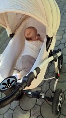 baby preciously lays on his stomach during stroller ride