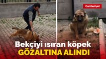 Türkiye bunu da gördün! Trabzon'da bekçiyi ısıran köpek gözaltına alındı