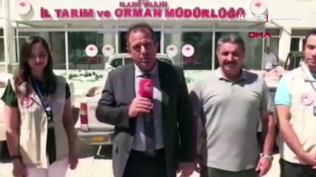 Skandal görüntüler! Baskında ortaya çıktı&hellip; 800 kilo bozuk et ele