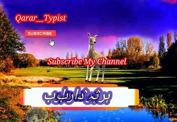 Har so daa raab | ھرثہ دارب | qarar__typist