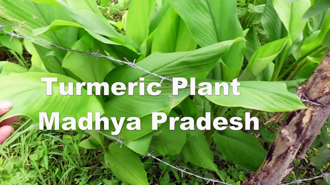 Village tour of Madhya Pradesh and Uttar Pradesh