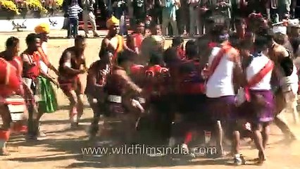 Piglet catching or Pig wrestling at Hornbill festival, Nagaland