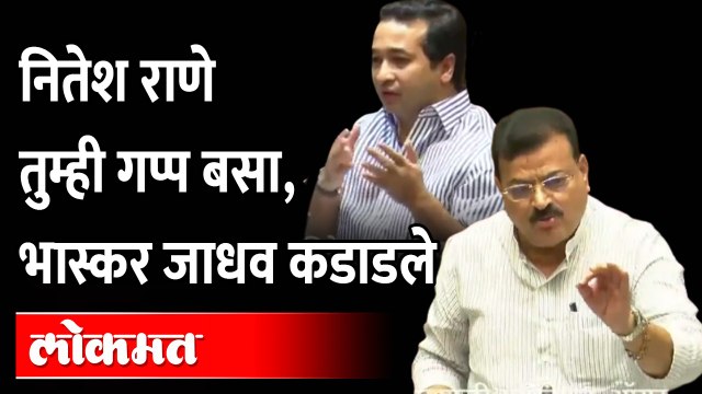 Bhaskar Jadhav angry on Nitesh Rane in Vidhan Sabha | राणे - जाधवांची विधानसभेत हमरी तुमरी