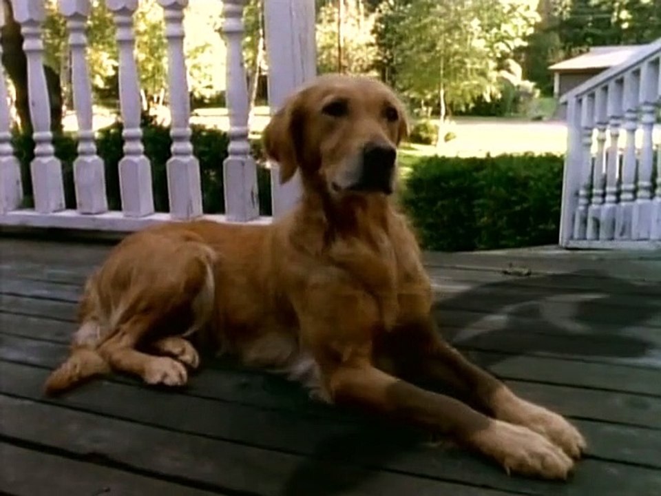 Gänsehaut - Die Stunde der Geister Staffel 1 Folge 4 HD Deutsch