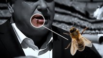 El mal trago de un político canadiense al comerse una abeja: 