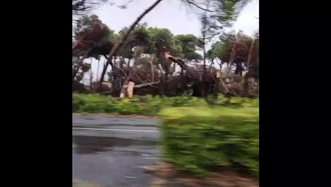 Dalla spiaggia alle pinete, gravi danni del maltempo fra Massa e Carrara