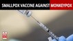 Can Smallpox Vaccine Provide Immunity Against Monkeypox?