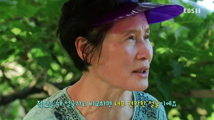 한국기행 - Korea travel_울릉도의 여름 4부- 그대를 만나 살맛 나_#001