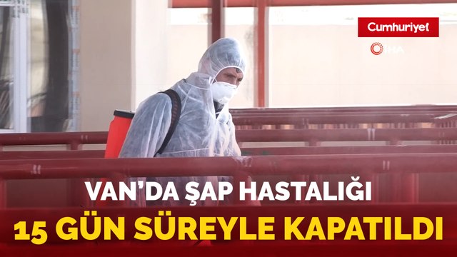 Van’da şap hastalığı: Canlı hayvan pazarı kapatıldı
