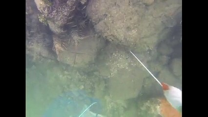 Relaxing Activities at Florida Keys Marinas