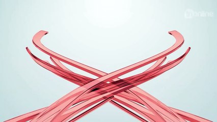 PRF apreende mais de uma tonelada de maconha em Apucarana