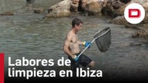 Comienzan las labores de limpieza de los restos del yate hundido que llegan ya a las playas de Ibiza