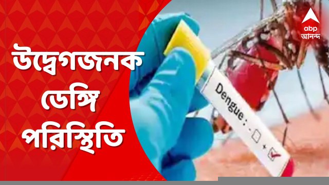 Dengue: ২০২০-২১-এর তুলনায় বেড়েছে ডেঙ্গি আক্রান্তের সংখ্যা, সতর্কবার্তা নবান্নর । Bangla News